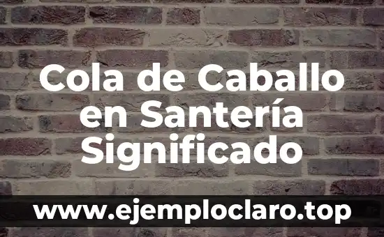 ¿La Coca Cola es Buena para la Diarrea? Descubre la Verdad 5 Cola de Caballo en Santería Significado