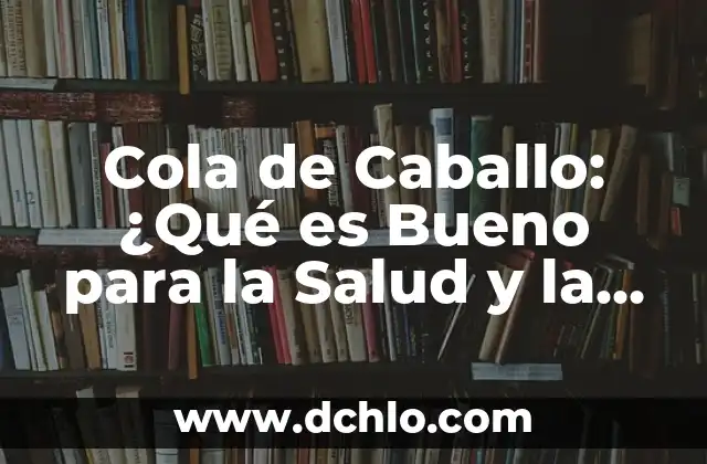 El Significado de los Tatuajes de Cola de Sirena: Un Diseño Mágico y Simbólico 4 Cola de Caballo: ¿Qué es Bueno para la Salud y la Belleza?