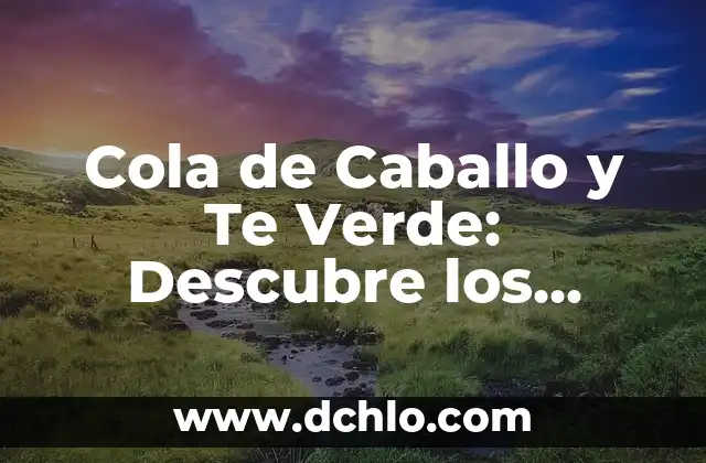 ¿Cuál es el Color que Resulta de Mezclar Verde y Amarillo? 6 Cola de Caballo y Te Verde: Descubre los Beneficios de esta Combinación Natural