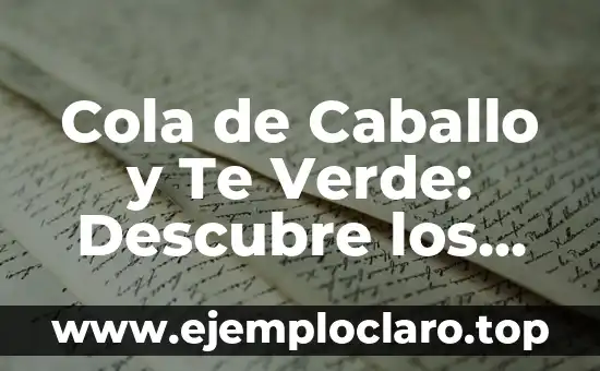 Cola de Caballo y Te Verde: Descubre los Beneficios de esta Combinación Natural