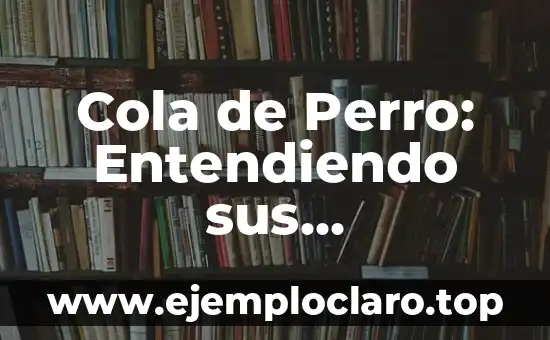 ¿La Coca Cola es Buena para la Diarrea? Descubre la Verdad 4 Cola de Perro: Entendiendo sus Implicaciones en las Posiciones