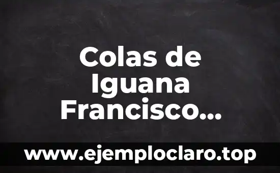 Mejores pinturas de Toledo significado 5 Colas de Iguana Francisco Toledo Significado