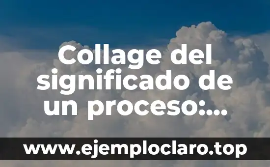 Buscar el significado de argumento 7 Collage del significado de un proceso: Una Guía Completa