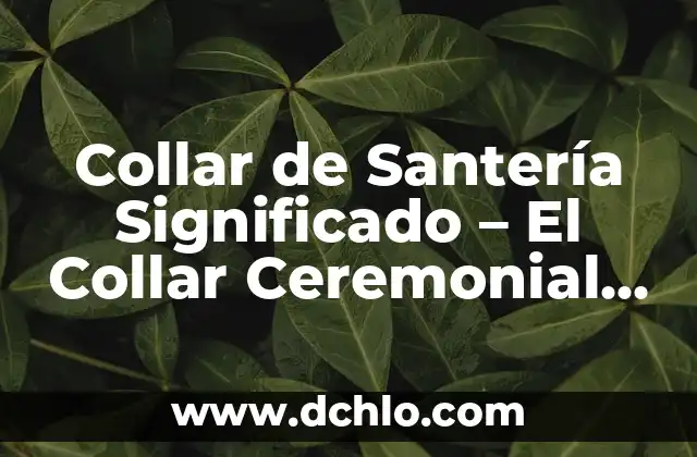 El Maquillaje Ceremonial en Diferentes Culturas 4 Collar de Santería Significado – El Collar Ceremonial en la Santería