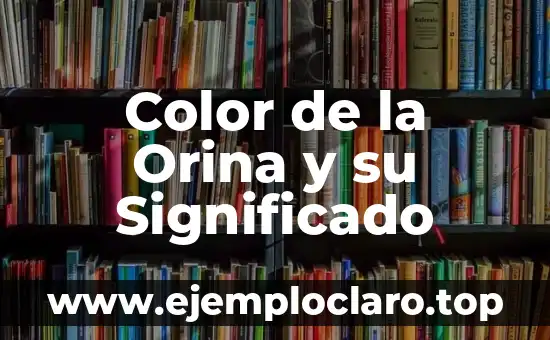 Buscar el significado de argumento 4 Color de la Orina y su Significado