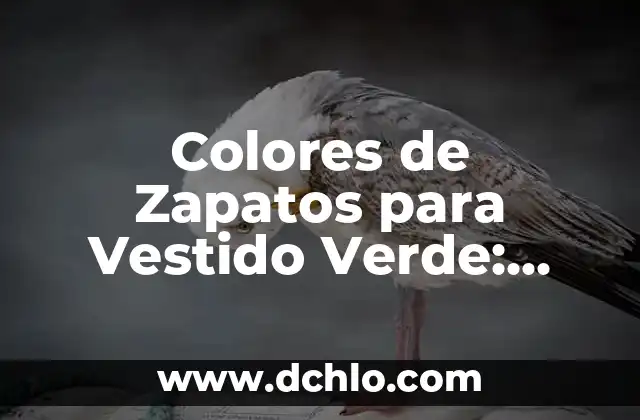 Espectro de Color Newton: Una Guía Completa 3 Colores de Zapatos para Vestido Verde: Guía Completa