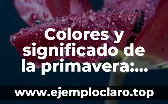 Colores y significado de la primavera: La estética de la renovación