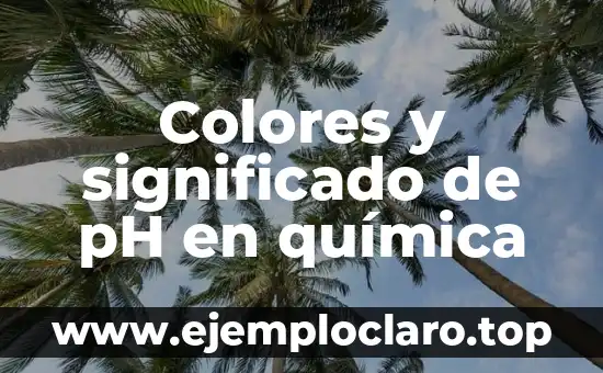 C贸mo hacer ph 3 Colores y significado de pH en qu铆mica