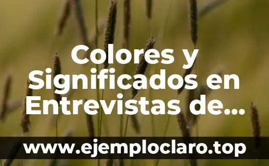 Capital de Trabajo: Concepto Fundamental en Finanzas Empresariales 4 Colores y Significados en Entrevistas de Trabajo: La Psicología del Vestuario