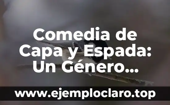 Bodas de Papel Aluminio: Un Concepto Único 4 Comedia de Capa y Espada: Un Género Teatral Único