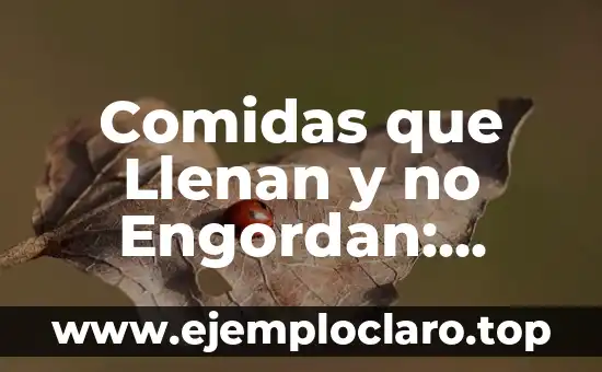 Comidas que Llenan y no Engordan: Descubre las Mejores Opciones