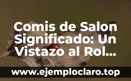 Comis de Salon Significado: Un Vistazo al Rol Clave en la Industria de la Belleza