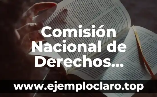 Comisión Nacional de Derechos Humanos Significado