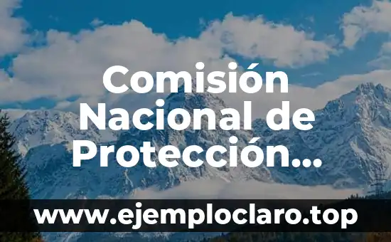 Comisión Nacional de Protección Social en Salud (CONAPASE) – Una Iniciativa por la Salud