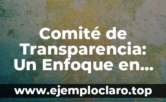 Transparencia en las Elecciones: Un Concepto Fundamental 5 Comité de Transparencia: Un Enfoque en la Claridad Institucional