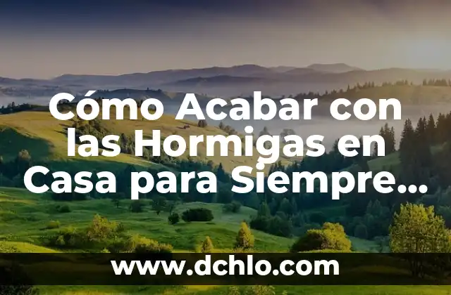 Significado de Hormigas Rojas 8 Cómo Acabar con las Hormigas en Casa para Siempre – Guía Definitiva