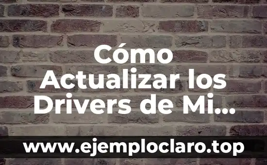 Tipos de Articulaciones Según su Movimiento: Una Guía Completa 7 Cómo Actualizar los Drivers de Mi PC: Guía Completa y Segura