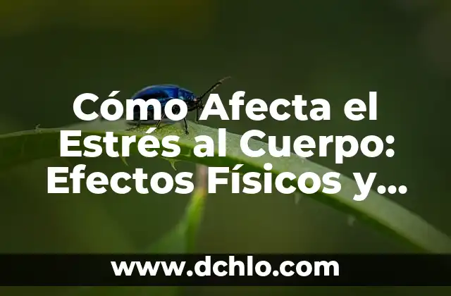 Tres significados de daños físicos 8 Cómo Afecta el Estrés al Cuerpo: Efectos Físicos y Mentales