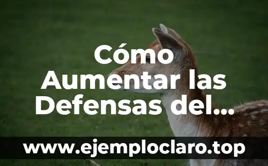 Cómo hacer un cuadro de historia natural de una enfermedad 6 Cómo Aumentar las Defensas del Organismo de Forma Natural y Efectiva