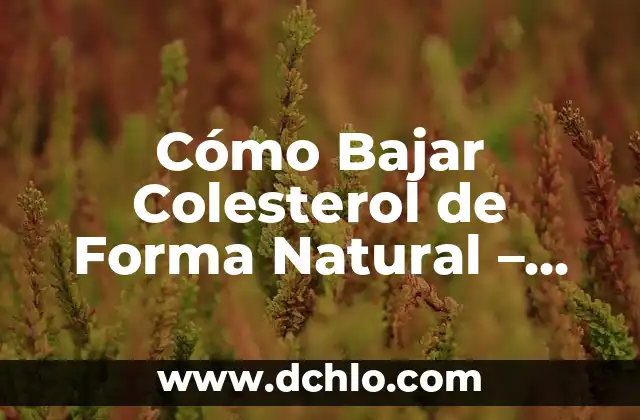 ¿Es el Colesterol LDL Bueno o Malo? Descubre la Verdad 4 Cómo Bajar Colesterol de Forma Natural – Guía Completa