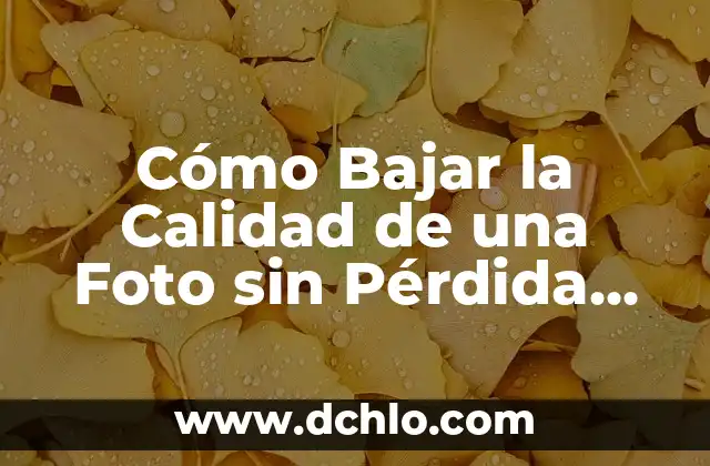 Contacto WhatsApp sin foto ni estado: ¿cómo hacerlo de manera segura y efectiva? 4 Cómo Bajar la Calidad de una Foto sin Pérdida de Detalles