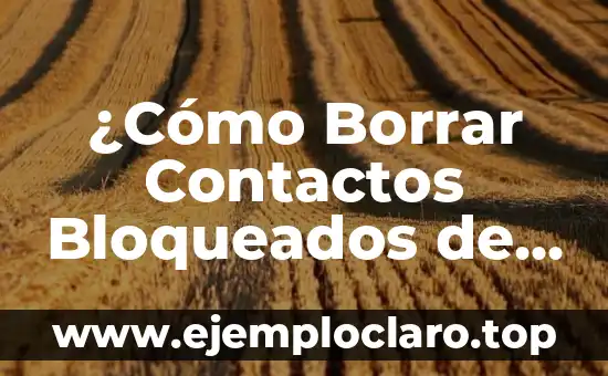 ¿Cómo Borrar Contactos Bloqueados de WhatsApp? – Guía Detallada