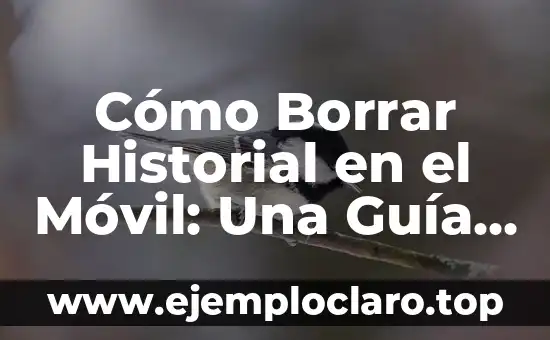 Cómo Borrar Historial en el Móvil: Una Guía Completa