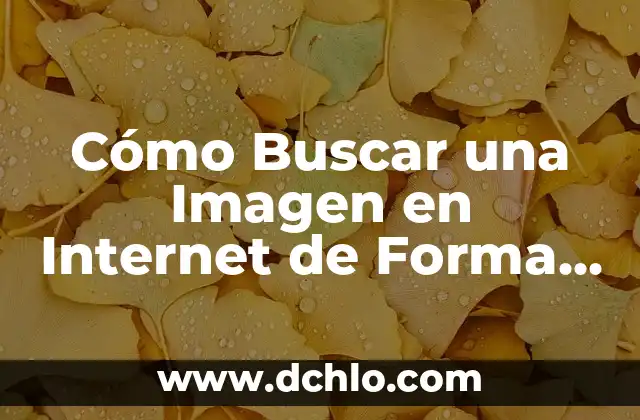 Significado y Significante de una Imagen 8 Cómo Buscar una Imagen en Internet de Forma Eficiente