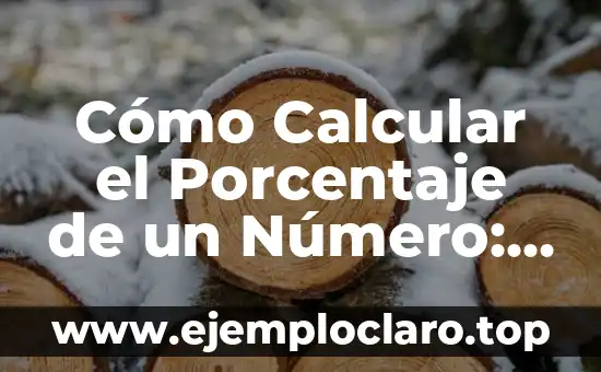Cómo Calcular el Porcentaje de un Número: Guía Detallada