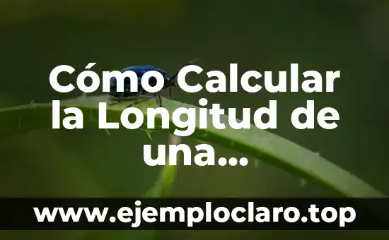 ¿Cuál es el diámetro de una circunferencia? - Concepto y Fórmula Matemática 7 Cómo Calcular la Longitud de una Circunferencia: Una Guía Detallada