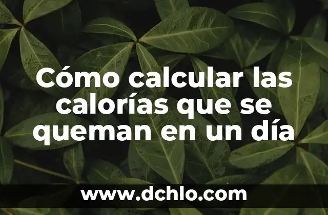 Cómo Quemar 500 Calorías al Día para Adelgazar 1 Kilómetro por Semana 3 Cómo calcular las calorías que se queman en un día
