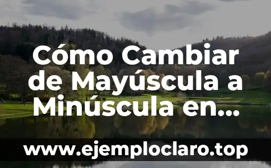 Cómo Cambiar de Mayúscula a Minúscula en Excel – Guía Completa