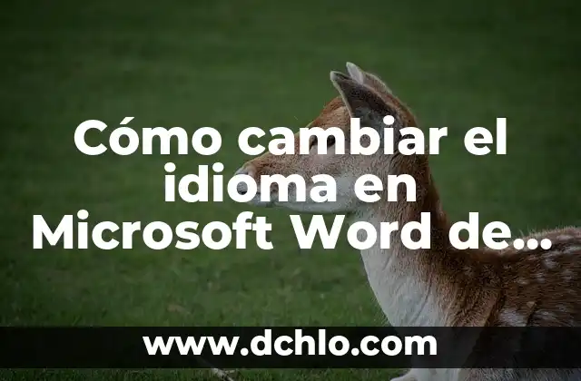 Notas a Pie de Página en Microsoft Word: Guía Definitiva 3 Cómo cambiar el idioma en Microsoft Word de manera rápida y sencilla
