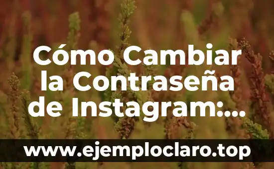 Cómo Cambiar la Contraseña de Instagram: Una Guía Detallada