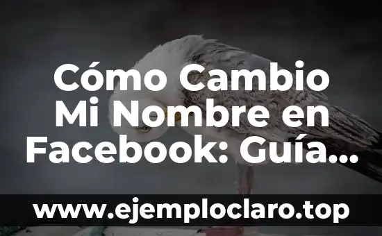 Cómo Cambio Mi Nombre en Facebook: Guía Paso a Paso