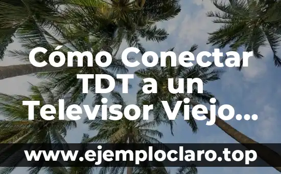 Cómo Conectar TDT a un Televisor Viejo sin Decodificador