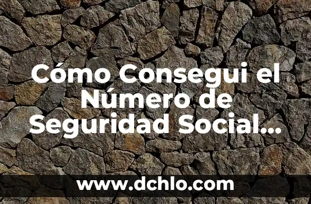Mecanismo de Control Social: Un Enfoque en su Significado e Importancia 5 Cómo Consegui el Número de Seguridad Social en USA – Guía Completa