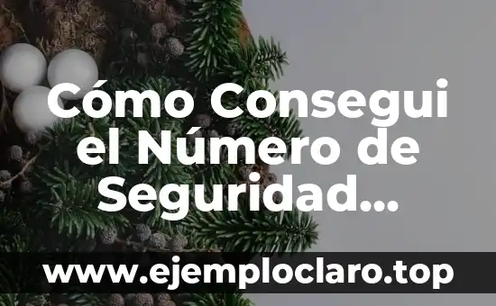 Cómo Consegui el Número de Seguridad Social en USA – Guía Completa