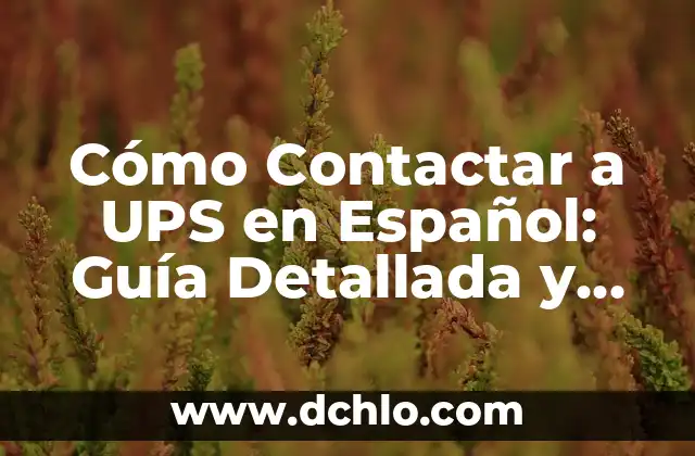 Tipos de Orejas y su Significado: Una Guía Completa 5 Cómo Contactar a UPS en Español: Guía Detallada y Completa