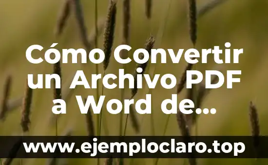 Concepto y significado de emisor en formato PDF 4 Cómo Convertir un Archivo PDF a Word de Forma Fácil y Rápida