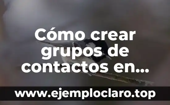 Cómo crear grupos de contactos en Gmail: Guía práctica y detallada