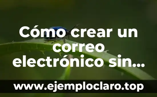 Cómo crear un correo electrónico sin número de teléfono: Guía detallada