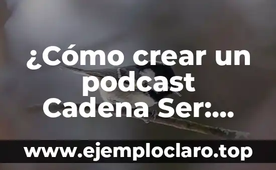 ¿Cómo crear un podcast Cadena Ser: Nadie Sabe Nada? Guía completa para principiantes