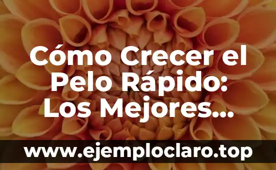 Cómo Crecer el Pelo Rápido: Los Mejores Suplementos y Consejos