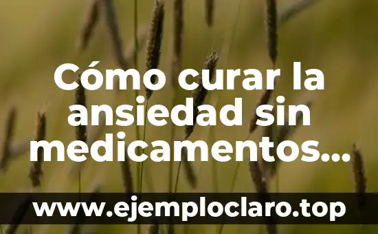 Cómo Hacer Medicamentos en el Bosque 6 Cómo curar la ansiedad sin medicamentos – Soluciones naturales y efectivas