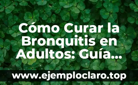 Audiencia de los confines: un concepto esencial en la comunicación efectiva 6 Cómo Curar la Bronquitis en Adultos: Guía Completa y Efectiva