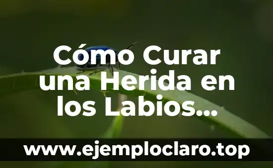 Cómo Curar una Herida en los Labios Genitales de Forma Natural y Segura