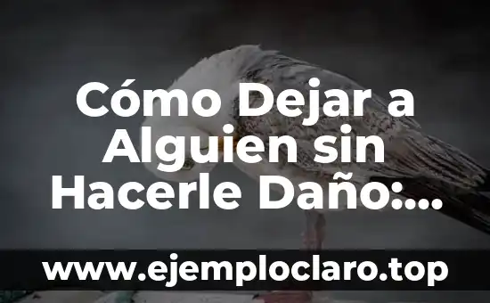 Cómo Dejar de Ser Celoso y Tóxico: Una Guía Completa 6 Cómo Dejar a Alguien sin Hacerle Daño: Guía Completa