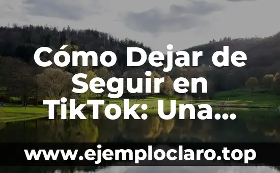 Cómo Dejar de Seguir en TikTok: Una Guía Completa