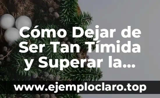 Cómo Dejar de Ser Celoso y Tóxico: Una Guía Completa 8 Cómo Dejar de Ser Tan Tímida y Superar la Ansiedad Social